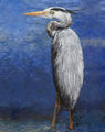 Image Not Available
